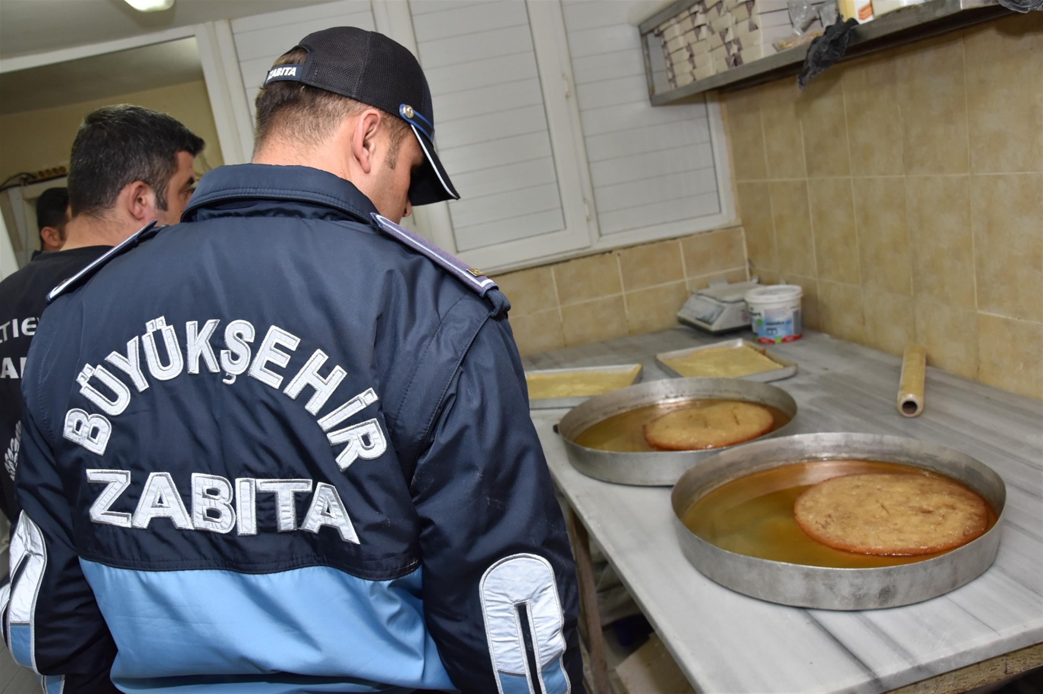 zeytin-sinegi-mucadelesi-2018